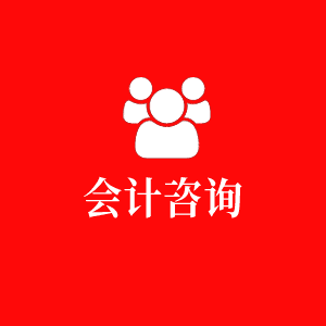 會(huì)計(jì)咨詢(xún)
